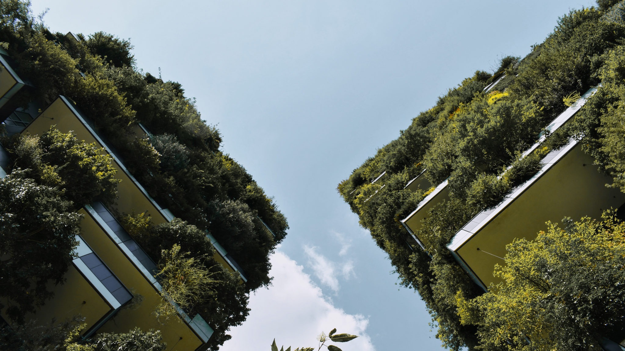 ECOTECTURE, eficacia green al servicio de la arquitectura, de Inalco